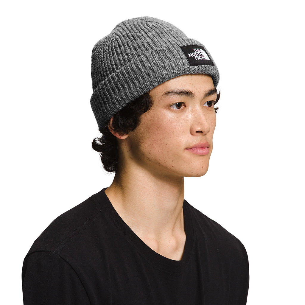 SALTY LINED BEANIE